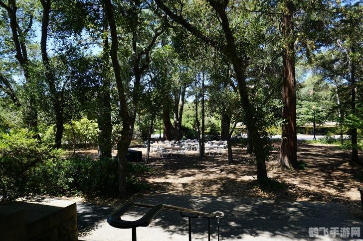 小林子游戏网,热门游戏攻略