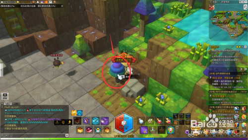 冒险岛神之子,冒险岛神之子,探索镜中世界,双人操作新体验