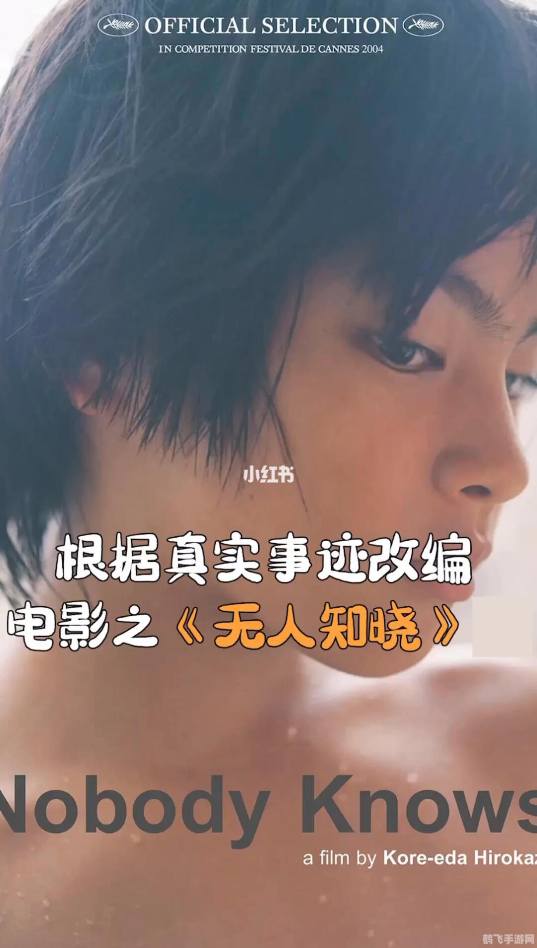 无人知晓的秘密,揭秘手游无人知晓的秘密，全面攻略与玩法解析