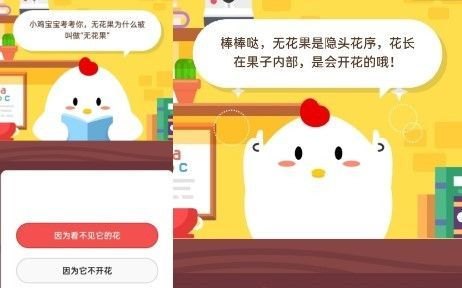 揭秘无花果之名，探索蚂蚁庄园手游攻略