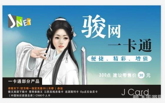 骏网一卡通充值,骏网一卡通,游戏充值新选择