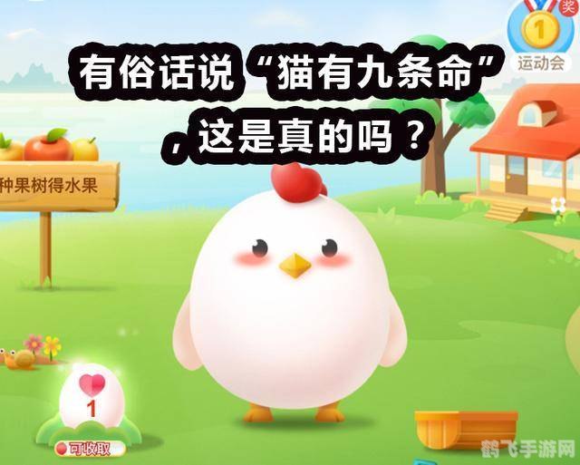 有俗语说猫有九条命蚂蚁庄园,猫有九条命游戏攻略，探索俗语背后的奇幻世界