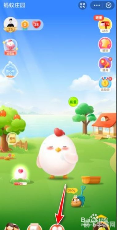 蚂蚁庄园荣耀值,蚂蚁庄园荣耀值提升全攻略