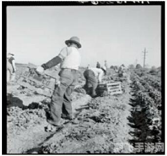 qq农场种什么升级最快,QQ农场快速升级攻略，精选作物，高效升级