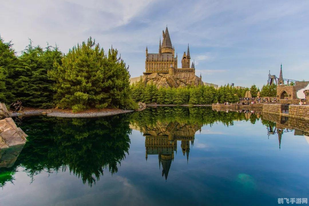 霍格沃茨魔杖测试,掌握魔法,成为顶尖魔法师!