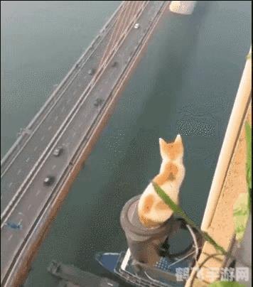 最新传奇世界探秘，全新版本攻略与资讯