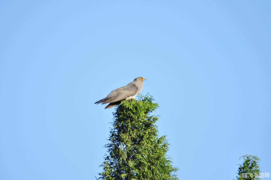 闹钟提醒软件,闹钟提醒大师手游攻略,定时任务与高效时间管理