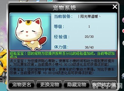 qq飞车招财猫,QQ飞车招财猫活动攻略，赢取丰厚奖励的秘诀