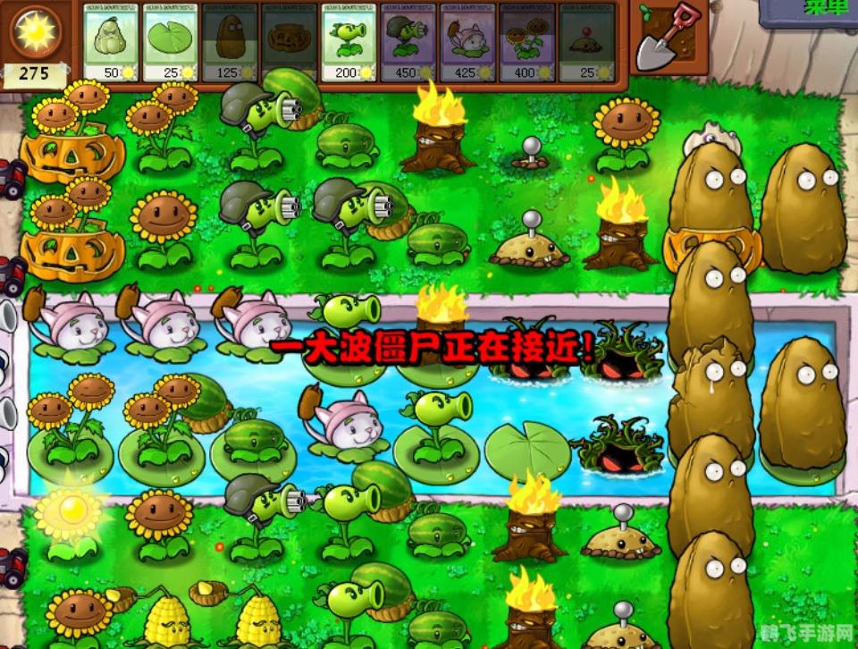 双子向日葵,双子向日葵手游攻略,如何高效种植与收获