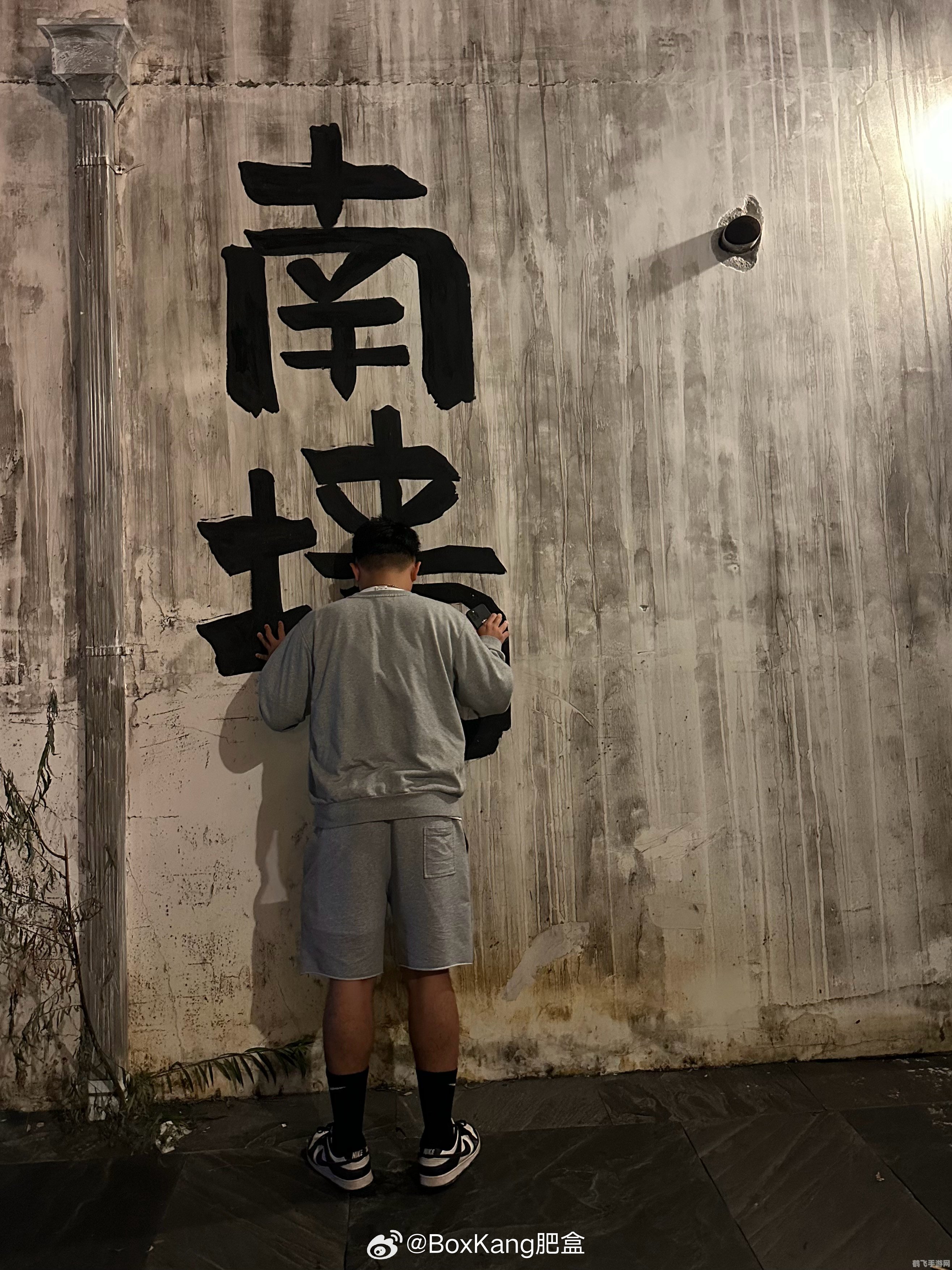 南墙指的是什么墙,南墙的象征意义