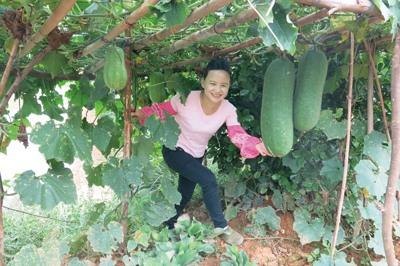 找你妹游戏深度攻略,探秘寻人之旅