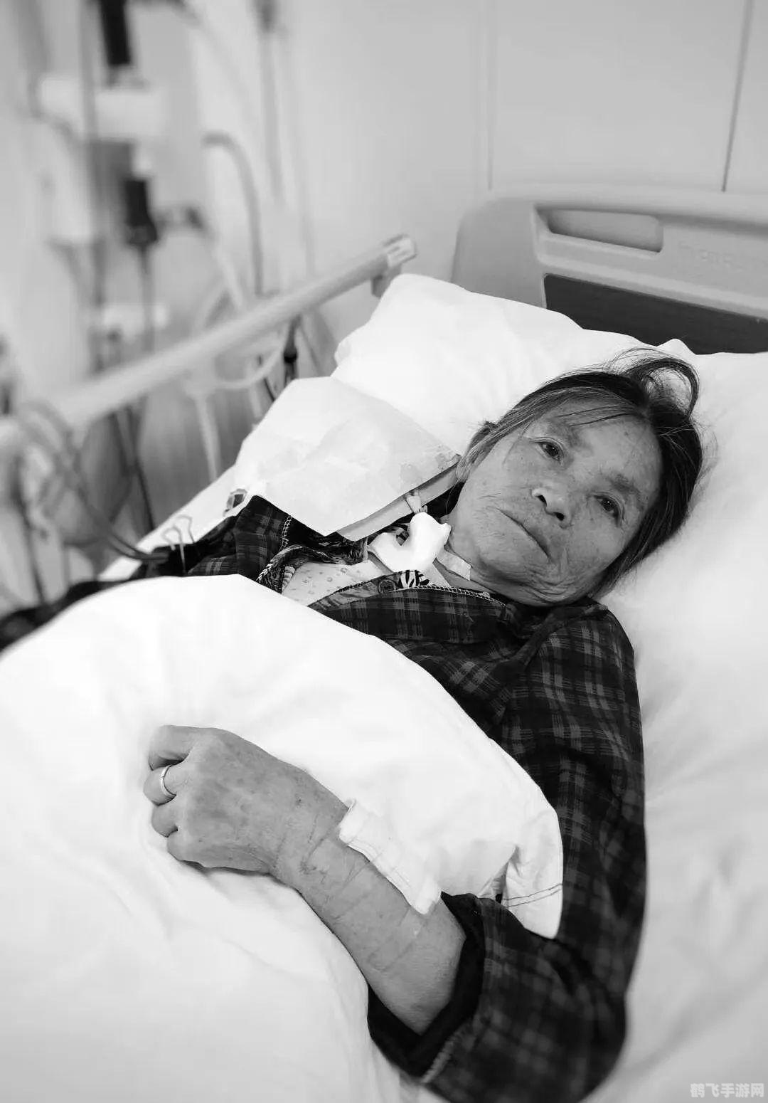 找你妹游戏深度攻略,探秘寻人之旅