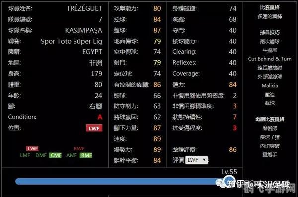 实况2010妖人,实况2010妖人探秘,打造你的超级球队