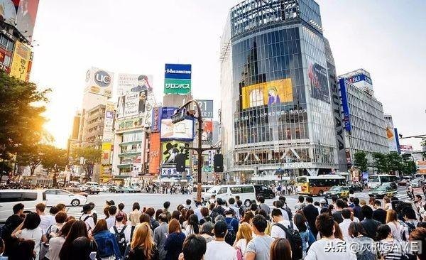 428被封锁的涩谷手游深度攻略,解锁涩谷的秘密