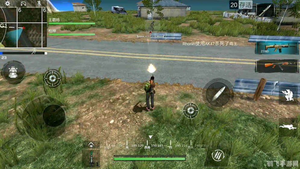 沙漠行者藤条手游攻略,征服沙漠,成为真正的行者