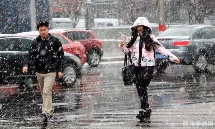 暴雪dota2,暴雪DOTA2游戏攻略与资讯全解析