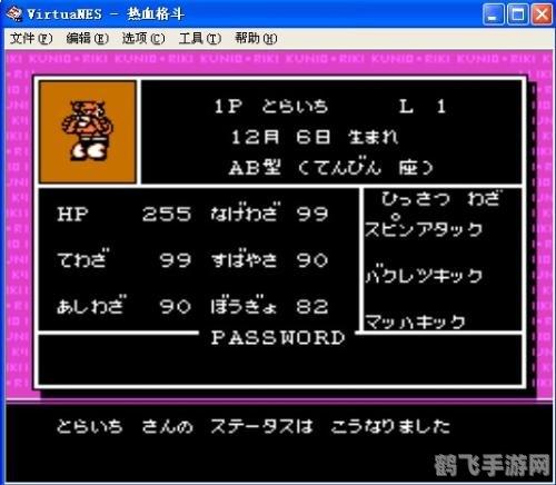 热血格斗老虎游戏攻略与心得分享