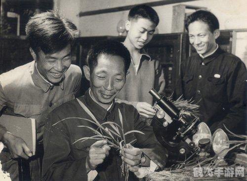 脸盆网捏橘子小游戏,脸盆网捏橘子小游戏攻略与资讯全解析