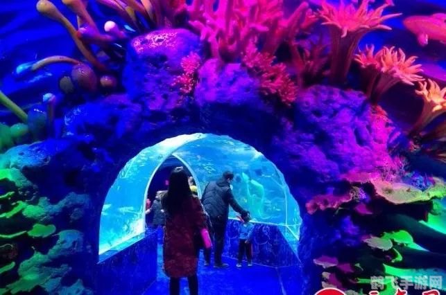 探秘绚丽海底,开启海底世界小游戏的奇幻冒险!