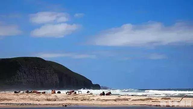 qq农场快速升级,QQ农场快速升级攻略大揭秘