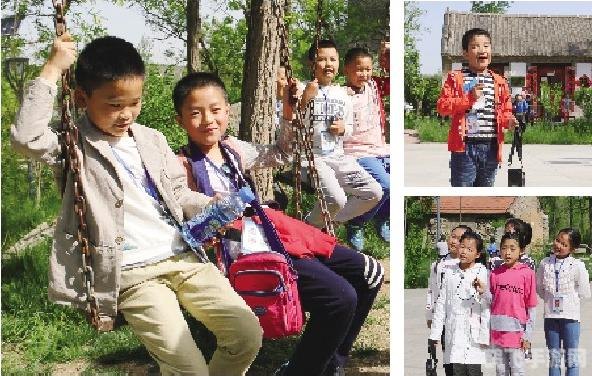 宠物小精灵钻石珍珠,宠物小精灵钻石珍珠手游攻略，成为顶级宠物训练大师的秘诀