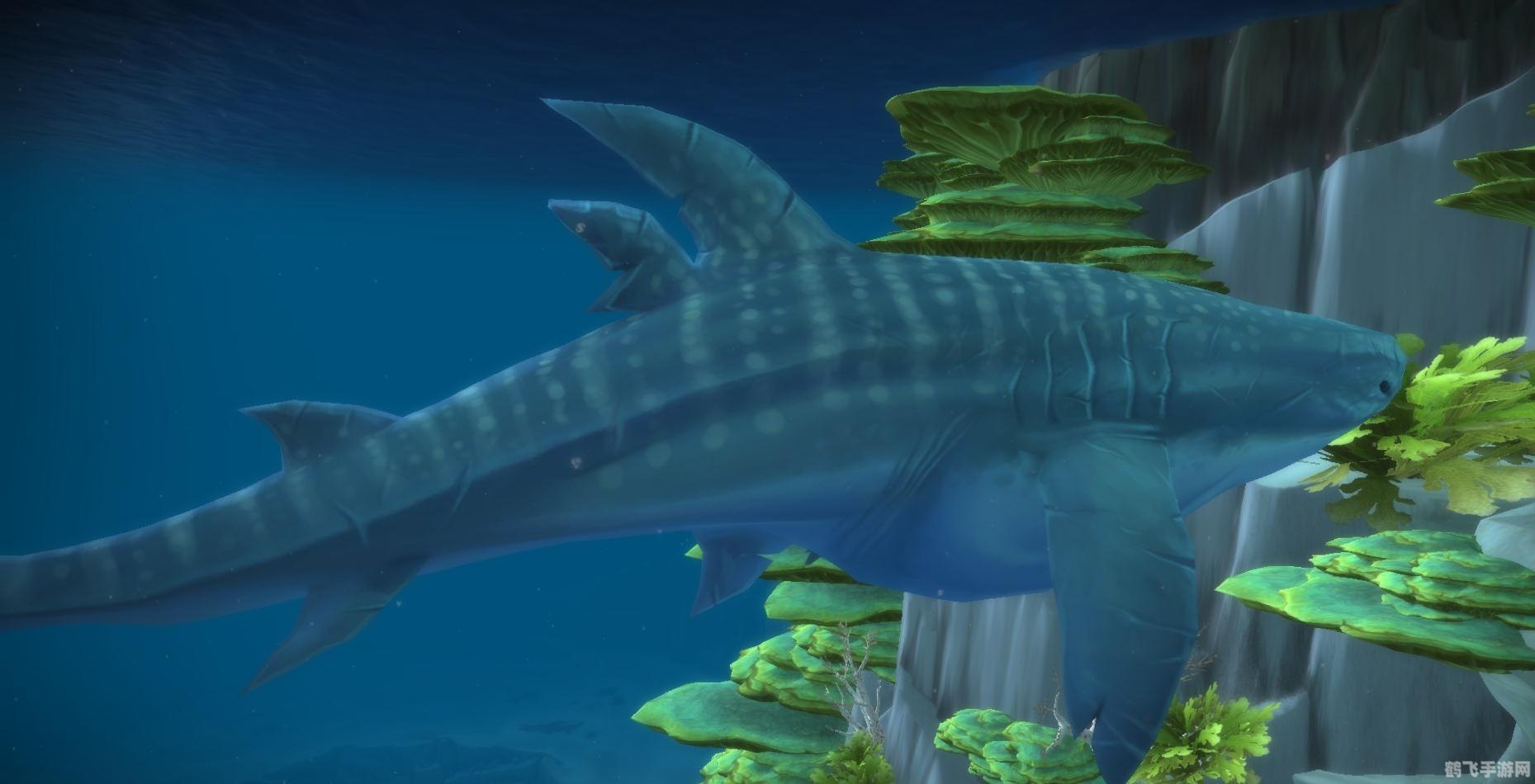 瓦斯琪尔鲸鲨,深海霸主瓦斯琪尔鲸鲨全面解析与攻略