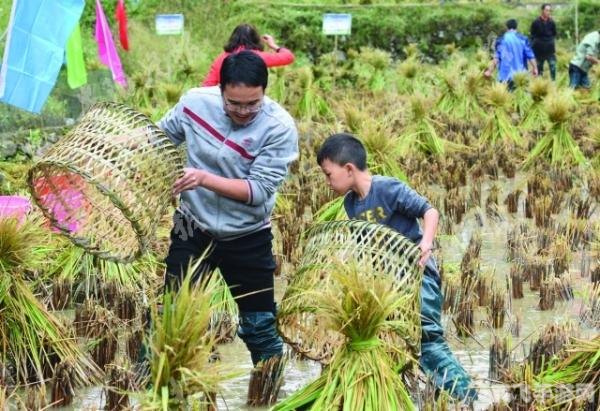 QQ农场经验大揭秘,玩转农场,轻松升级