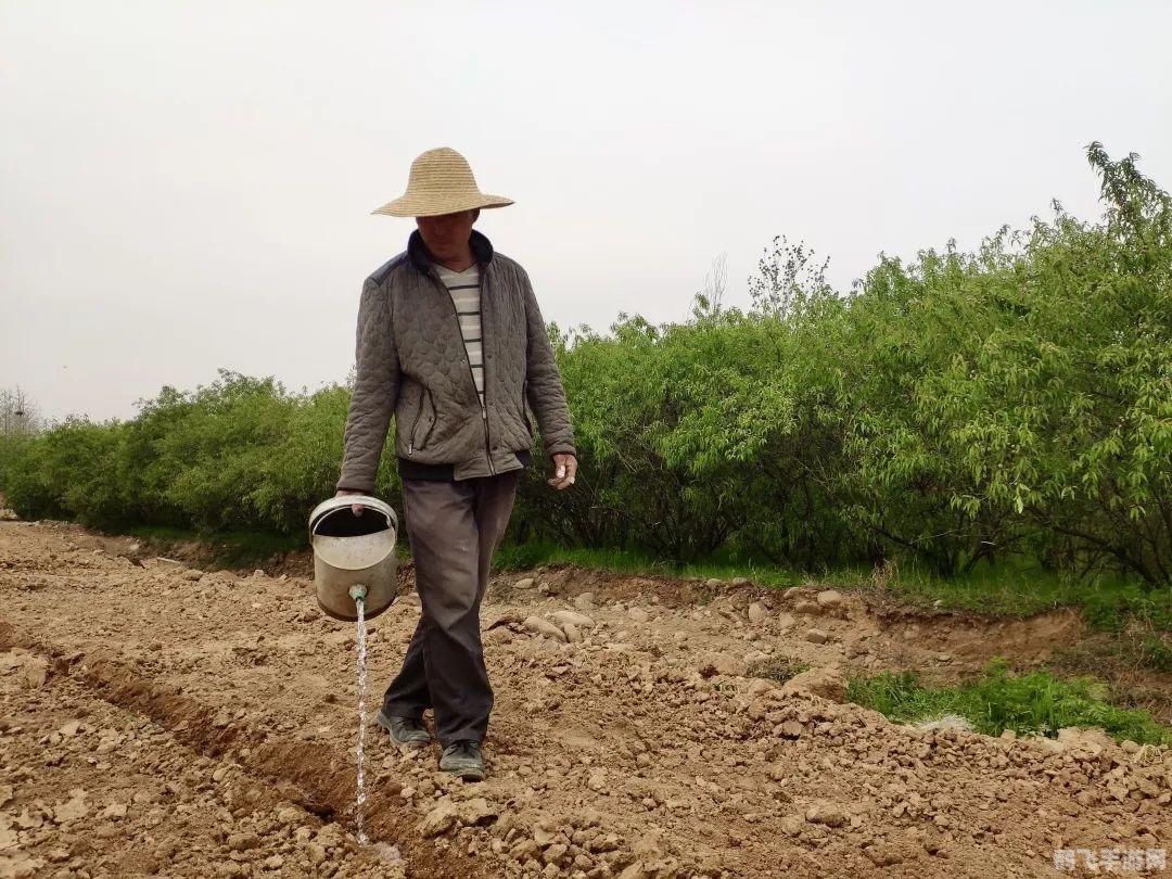 QQ农场经验大揭秘,玩转农场,轻松升级