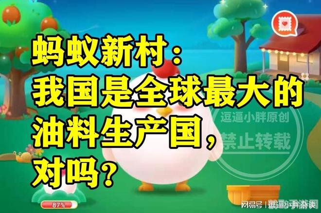 滑冰场冰面制作秘籍，揭秘用何种食物打造完美冰面！
