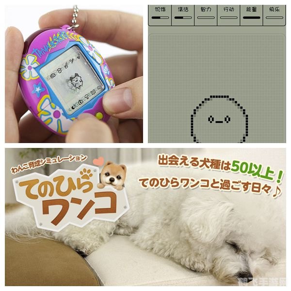 Keep玉桂狗奖牌手游攻略，轻松获取限量奖牌