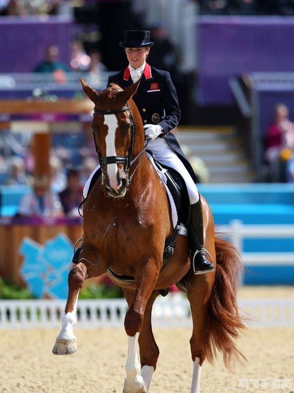 奥运会上男女同场竞技的项目是,奥运会上男女同场竞技的热血项目——马术