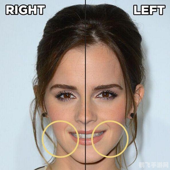 左右脸对称软件,面部对称技术