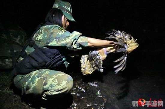 昼夜求生2,昼夜求生2生存指南，勇者的非电子冒险