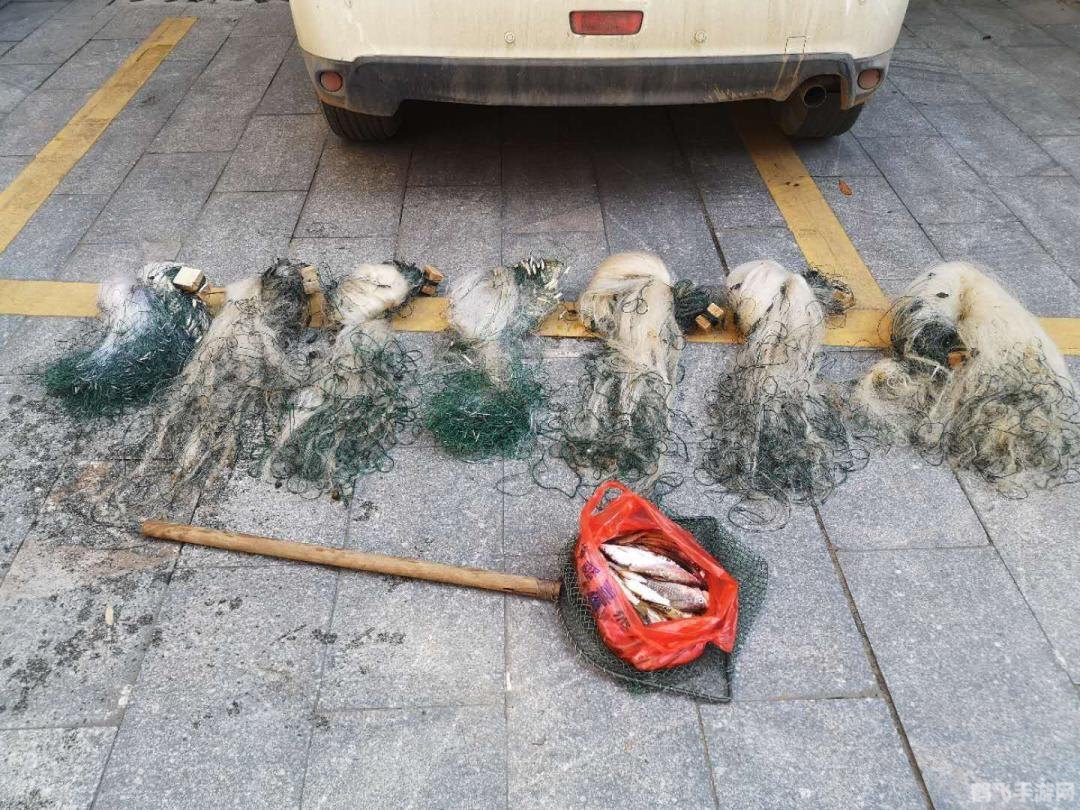 平台 打鱼,深海大捕捞手游攻略,成为打鱼高手的秘诀