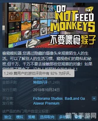 老太太玩转VPS与Windows 45,游戏新体验攻略