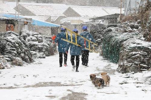 樱花动漫为什么看不了了,樱花动漫观看故障解析与应对策略