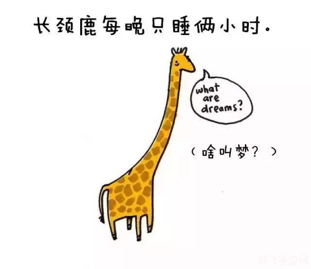 长颈鹿每天的睡眠时间,长颈鹿的奇异世界,探索手游中的睡眠之谜