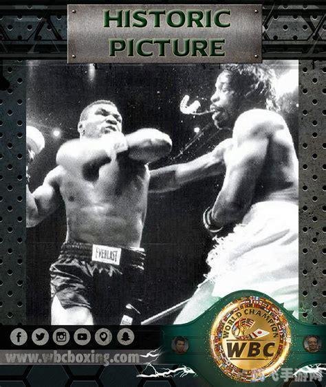 拳皇人物名字,拳皇手游攻略,掌握人物特性,称霸擂台