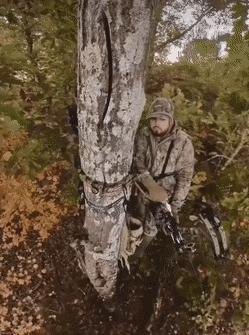 鹰院和蛇院哪个人气高,鹰院