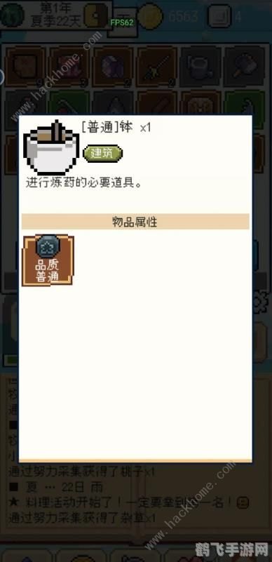 我的小傻瓜手游深度攻略，成为养殖与冒险的双重高手