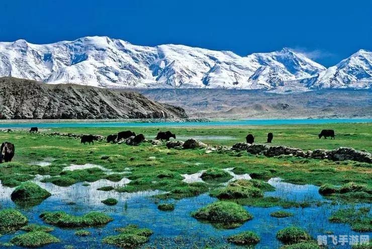 昆仑仙境幻想新手卡,昆仑仙境幻想新手卡,开启你的仙境之旅