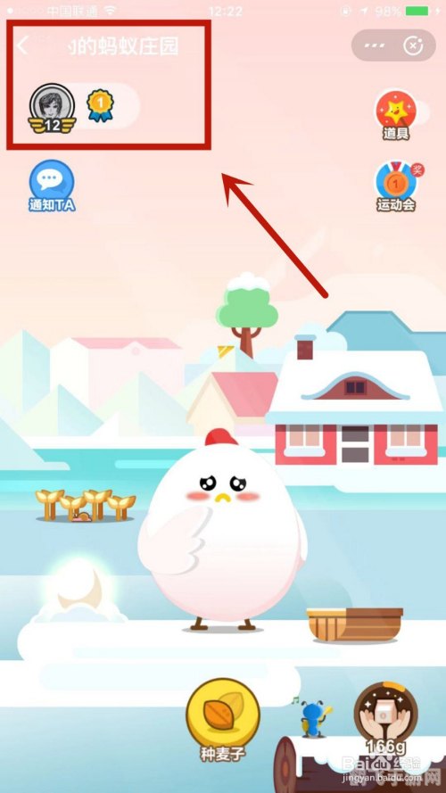 小鸡搬新家了蚂蚁庄园,小鸡乔迁新居，探秘蚂蚁庄园新玩法