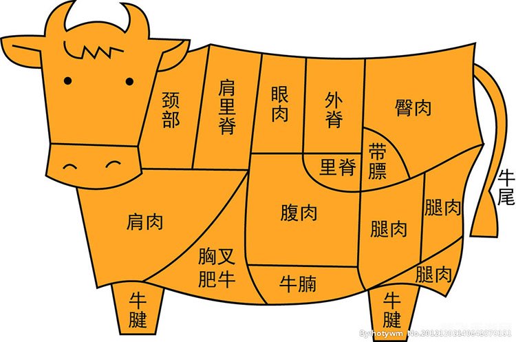 牛上脑是哪个部位蚂蚁庄园,牛上脑部位揭秘与手游攻略,蚂蚁庄园里的火锅知识大挑战