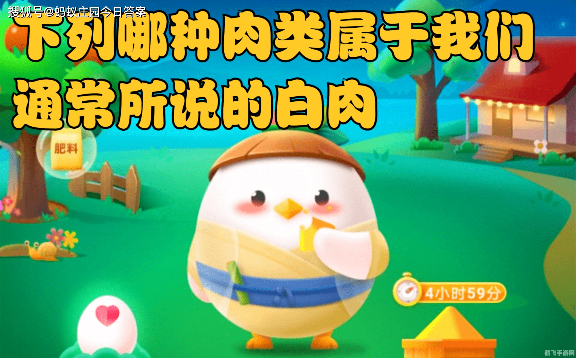 时速80迈蚂蚁庄园,蚂蚁种类