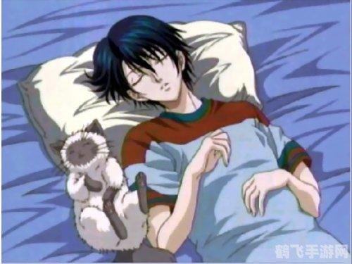 网球王子游戏攻略与资讯全解析