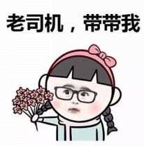 老司机带带我看精彩免费游戏,免费游戏