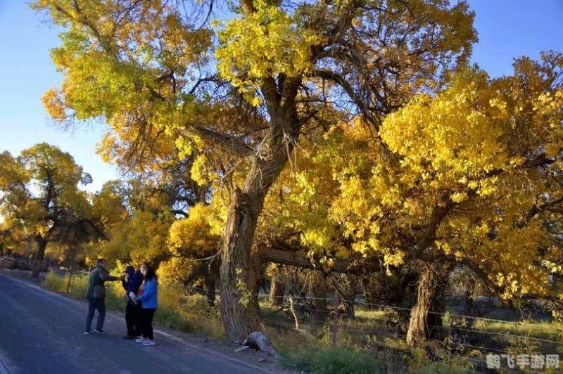 早晨出现朝霞预示着天气有可能,早晨朝霞，预测好天气——探索游戏中的天气系统