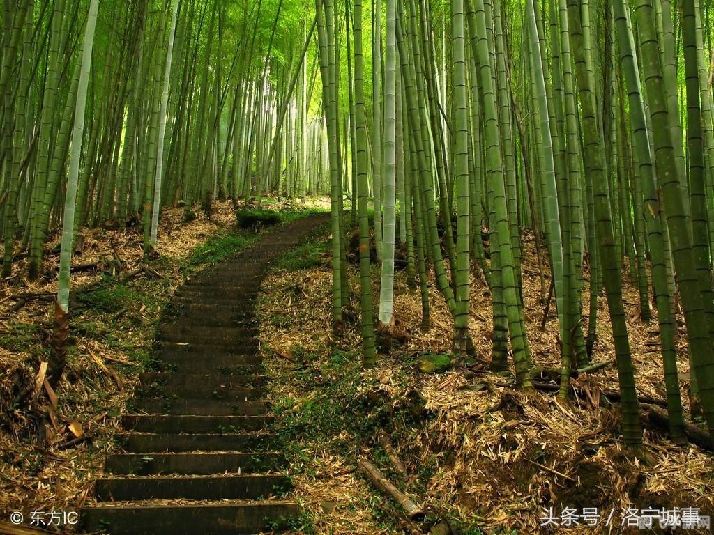 起源之信物，探索神秘遗迹，揭开信物的力量之源