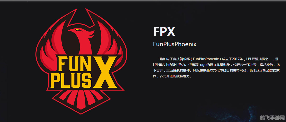 fpx 是什么,FPX简介