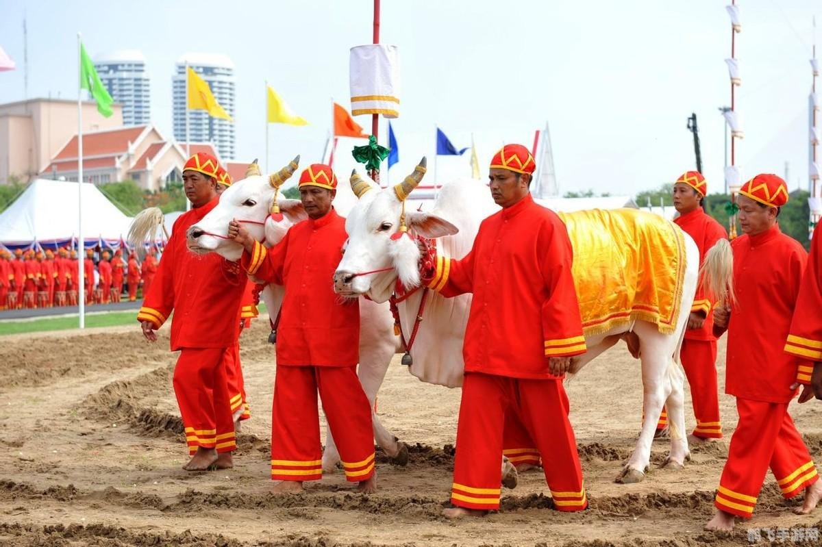 赐座app,赐座app手游攻略,玩转古代宫廷,成为宫廷达人